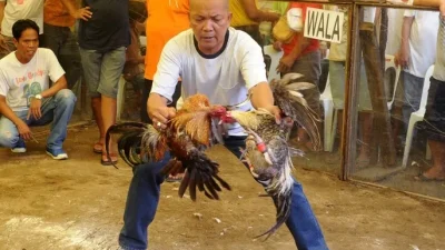 Bí Quyết Ứng Biến Và Điều Chỉnh Chiến Thuật Trong Từng Hiệp Đấu