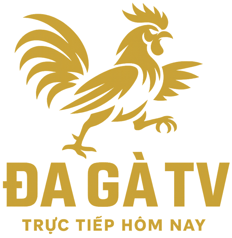 ĐÁ GÀ TV
