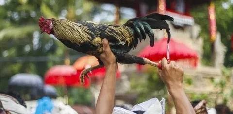  công đoạn không thể thiếu